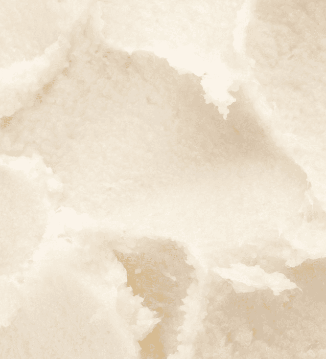 Tallow vs beurre de karité : quelle différence pour la peau ?